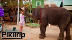 Excursiones en Pattaya para niños.