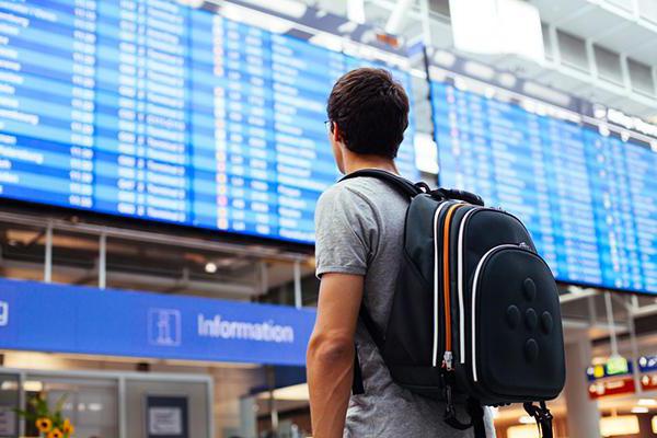 Where and when is it profitable to buy plane tickets?